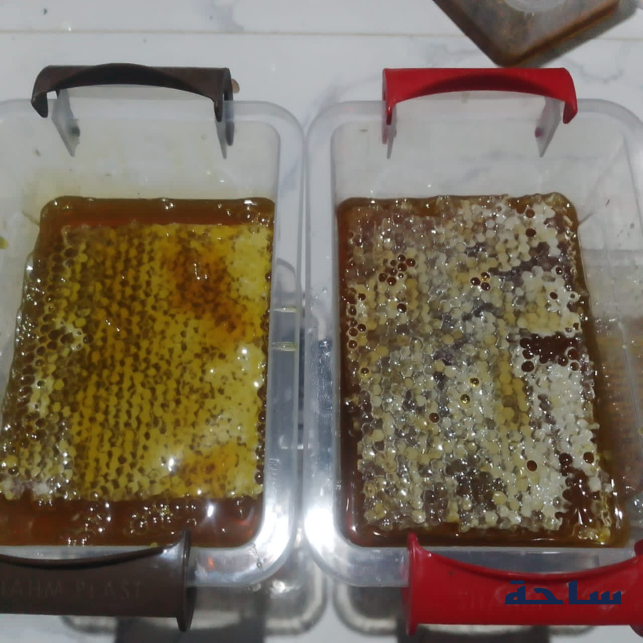 عسل للبيع مصفي وبشهدو - صورة 2